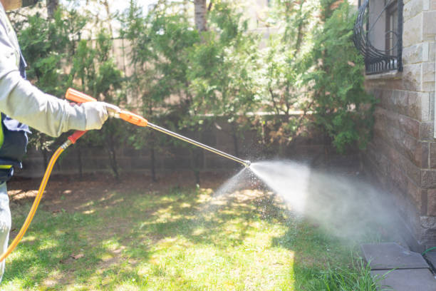 Best Rat Extermination Near Me  in Rockford, IL