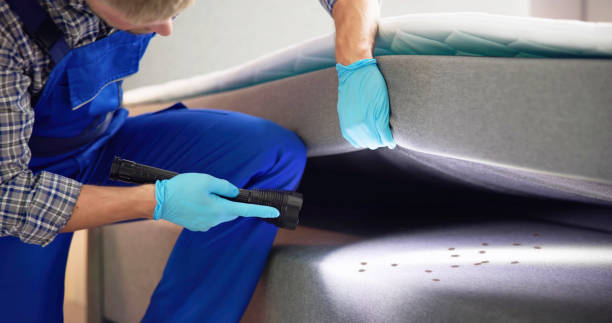Best Pest Removal Services  in Rockford, IL