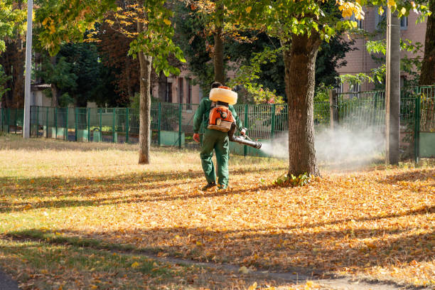 Bird Control in Rockford, IL