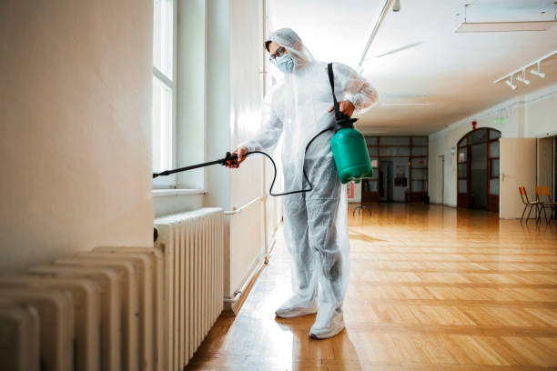 Best Termite Control Services  in Rockford, IL