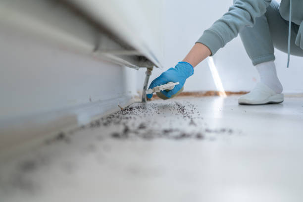 Pest Control Cost in Rockford, IL