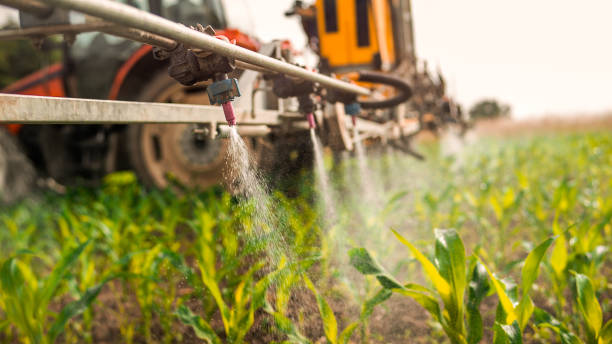 Best Mosquito Control Services  in Rockford, IL